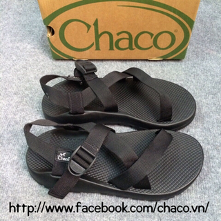 Chaco thằn lằn colorado