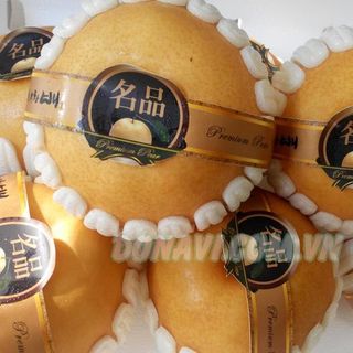 Lê nâu hàn quốc