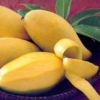 Xoài thái vàng