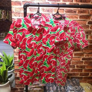 Áo sơ mi hoạt hình