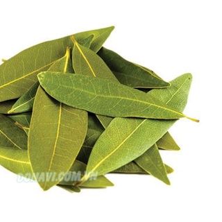 Lá nguyệt quế