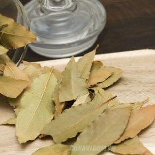 Lá nguyệt quế - bay leaves