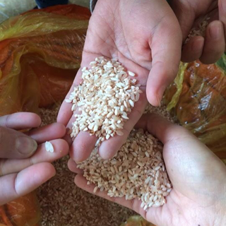Nông sản sapa