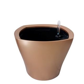 Chậu cây thông minh