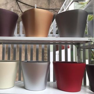 Chậu cây thông minh