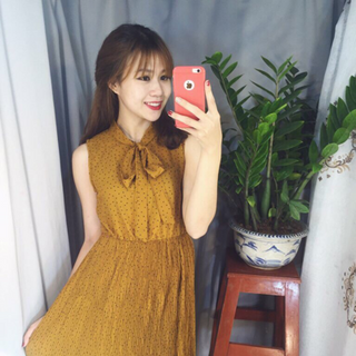 Đầm bí nhí dập li