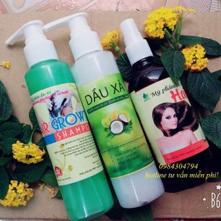 Tinh dầu bưởi dầu gội bưởi xả bưởi gội thảo mộc bồ kết