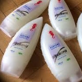 Sữa tắm cá ngựa