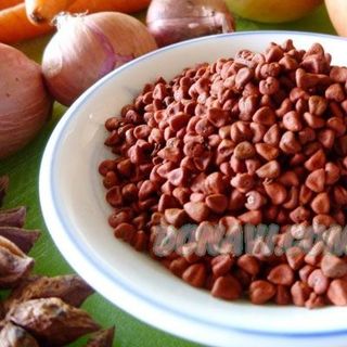 Hạt điều đỏ