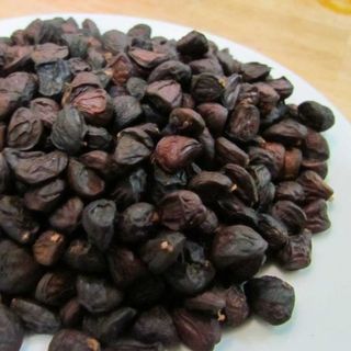 Hạt dổi rừng chưa ép tinh dầu
