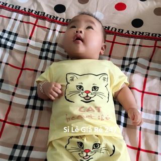 Bộ carters việt nam 100 cotton
