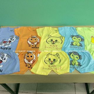 Bộ carters việt nam 100 cotton