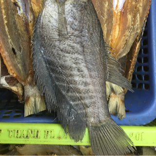 bỏ sỉ khô các loại