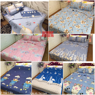 Ga gối poly chăn hè