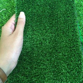 Cỏ nhân tạo trang trí giá 150k/m2