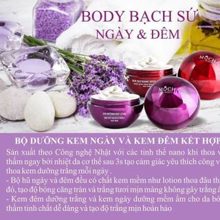 Body bạch sứ