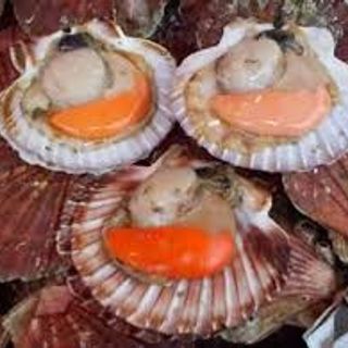 Sò điệp tách vỏ
