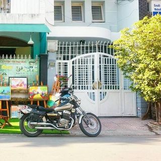 Cỏ nhân tạo sân vườn cao 18mm