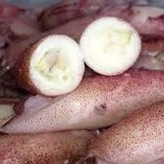 Mực trứng
