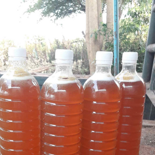 Mật ong rừng