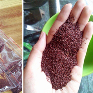 Ngũ hoa hạt tinale