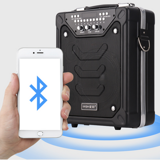 Loa kéo mini aige s11