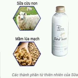 Sữa cừu non