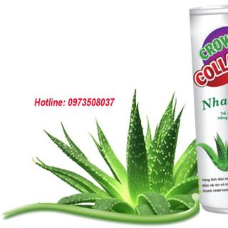 Nước uống collagen vị nha đam