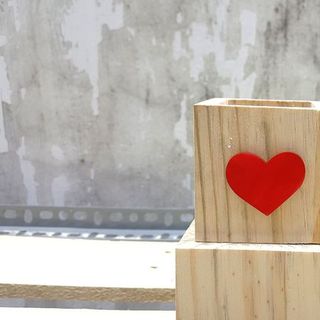 Chậu gổ cute trồng cây mini