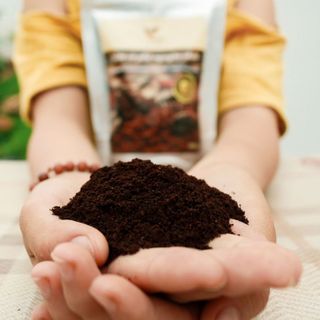 Bột cà phê glamor - bí quyết da sáng không tì vết từ tự nhiên