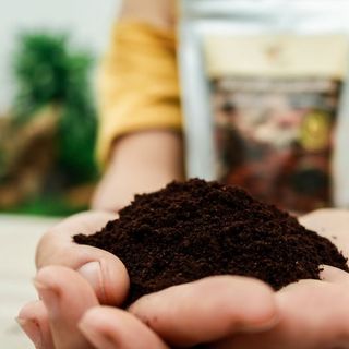 Bột cà phê glamor - bí quyết da sáng không tì vết từ tự nhiên