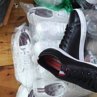 Giầy nam lacoste 2017