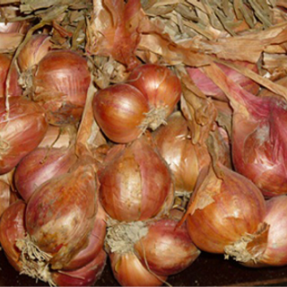 Hành khô siêu sạch