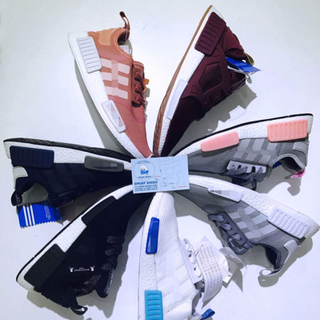 Giày eqt thể thao nam