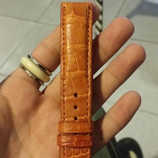 dây đồng hồ da cá sấu