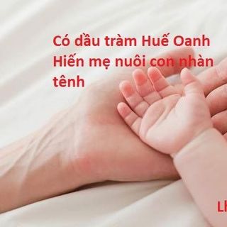 Dầu tràm Huế Oanh Hiến giá tốt nhất Hà Nội