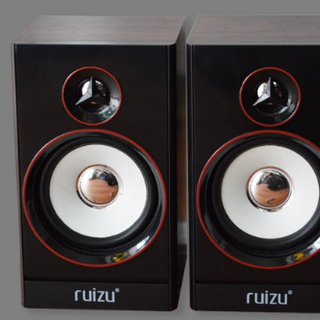 Loa 20 RUIZU 820
