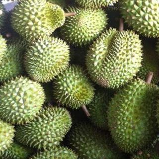 Sầu Riêng Hạt Lép RI6 ngon bổ giá cả phải chăng