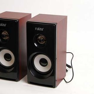 Loa 20 RUIZU 810