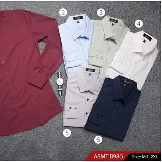 Sơ mi kẻ nhỏ Leegjn ASMT b986