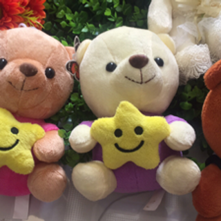 gấu bông cô dâu chú rể