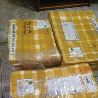 Tinh dầu tràm Long Vương