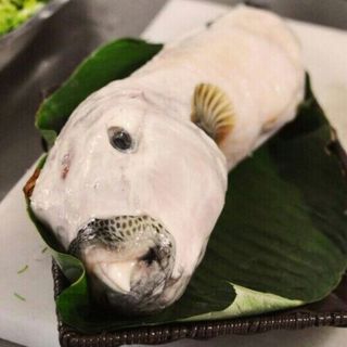 Cá Thỏ biển Mỹ Nhân Ngư