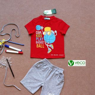 BỘ SỌT BÓNG CHUYỀN