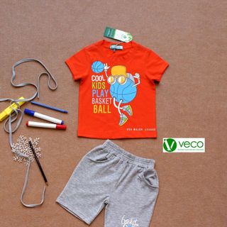 BỘ SỌT BÓNG CHUYỀN