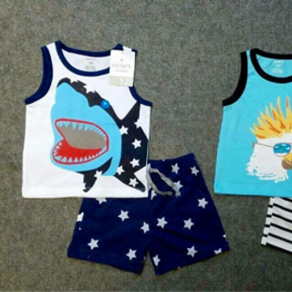 Bộ Carters bé trai