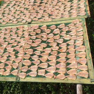 Cá chỉ vàng