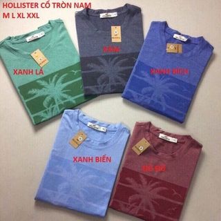 Áo thun cổ tròn TrònHollis NamNữ