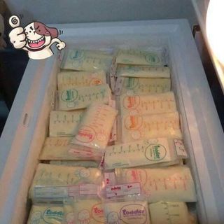 Túi Trữ sữa Toddler-49 cái