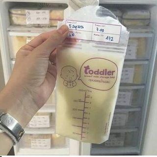 Túi Trữ sữa Toddler-49 cái